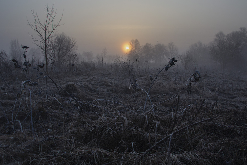 Фотографія Натюрморт / Валерий Зайченко / photographers.ua