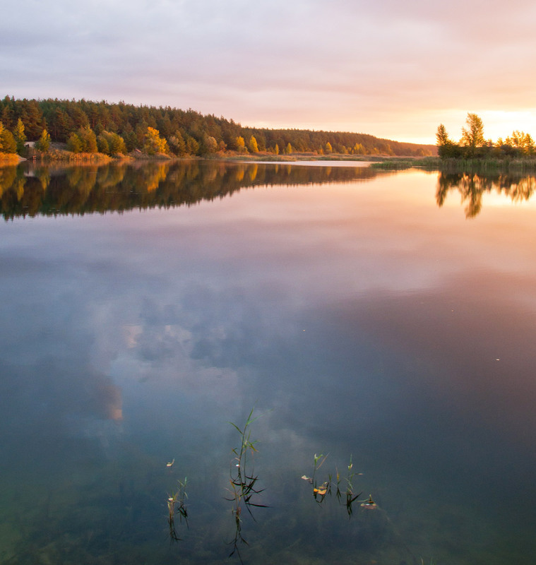Фотографія Безмятежнсть / Віталій / photographers.ua