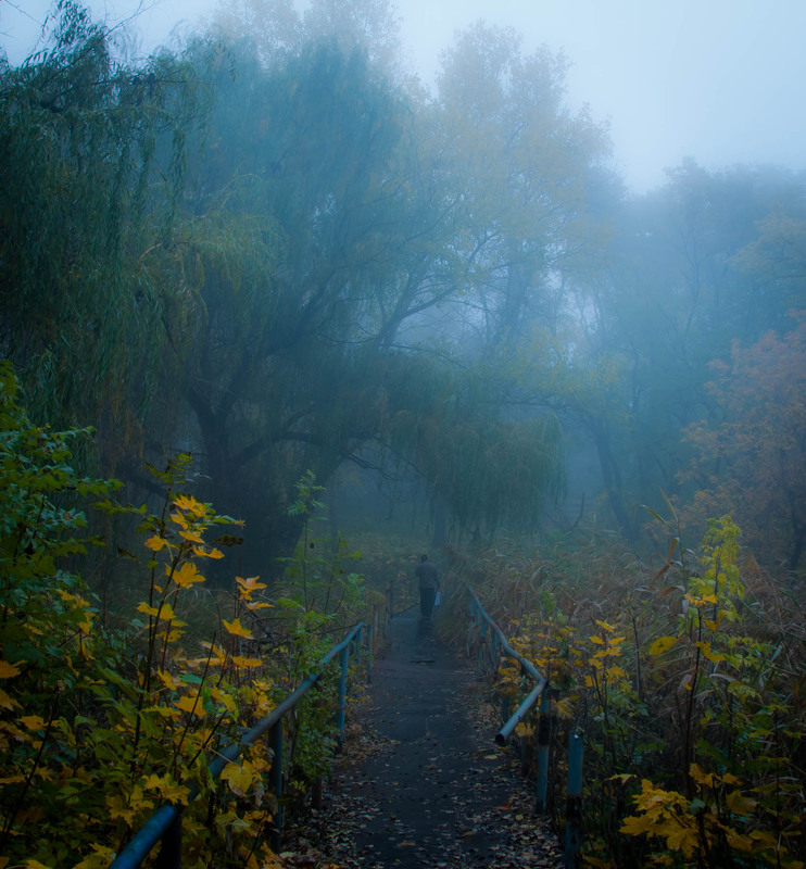 Фотографія Синий туман, ивы и мужик с пакетом / Віталій / photographers.ua