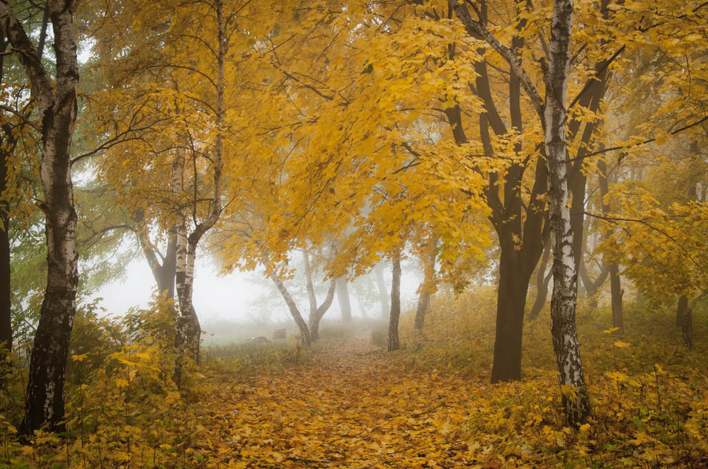 Фотографія Пейзаж / Віталій / photographers.ua