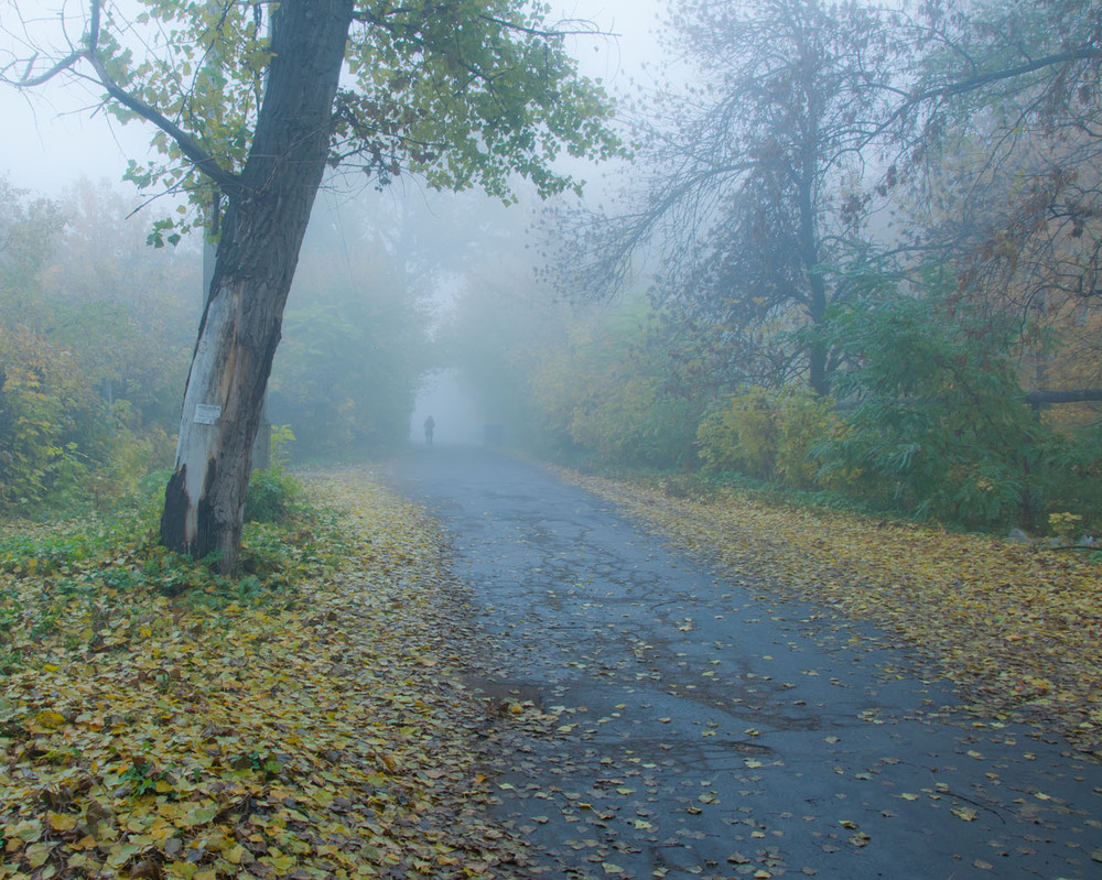 Фотографія Сонное утро / Віталій / photographers.ua