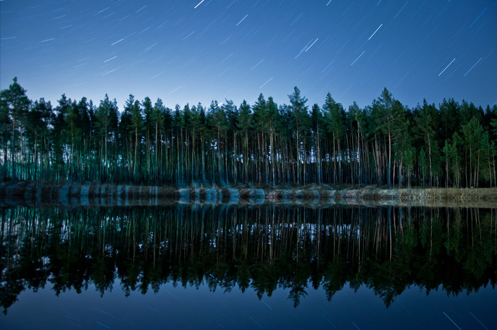 Фотографія Ночь в лесу / Віталій / photographers.ua