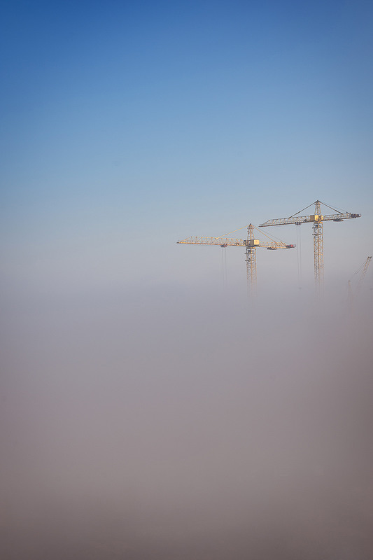 Фотографія Туманный градиент / Olgart / photographers.ua