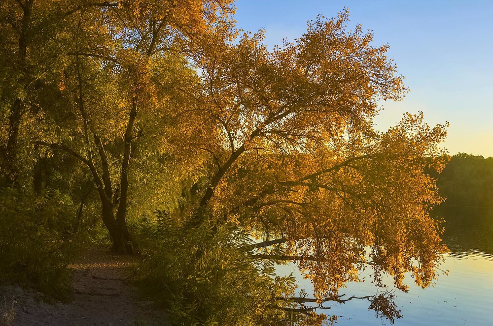 Фотографія Осень золотая... / Tatiana Lubeckay / photographers.ua