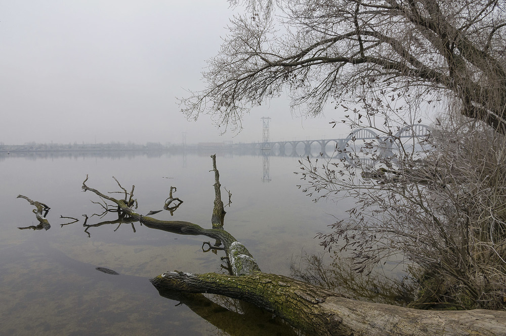 Фотографія Про иней, чистый Днепр и легкий туман. / Tatiana Lubeckay / photographers.ua