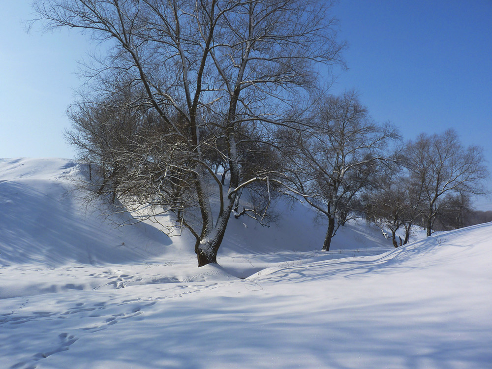Фотографія Зима, красавица... / Tatiana Lubeckay / photographers.ua