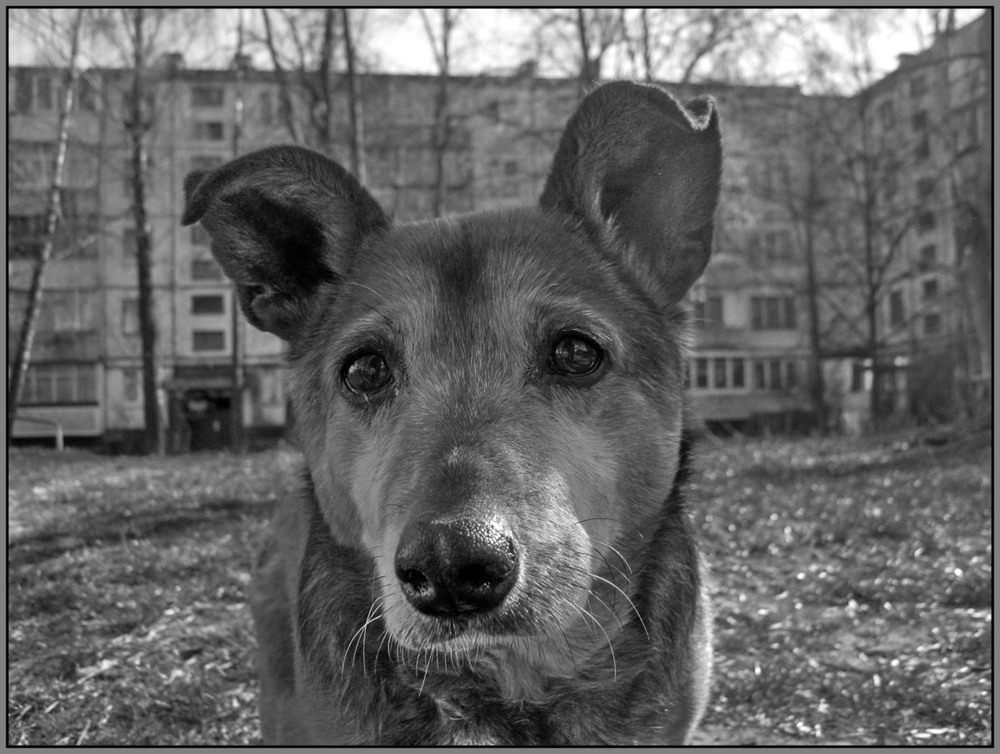 Фотографія *** / Сергей Якубенко / photographers.ua