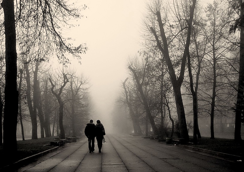 Фотографія В туман... / Сергей Якубенко / photographers.ua