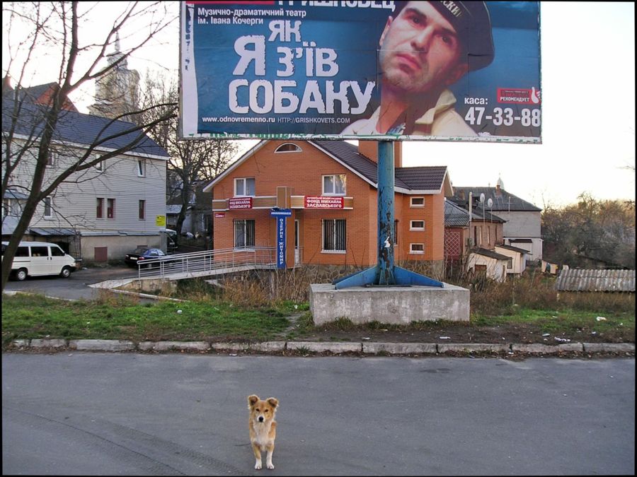 Фотографія *** / Сергей Якубенко / photographers.ua