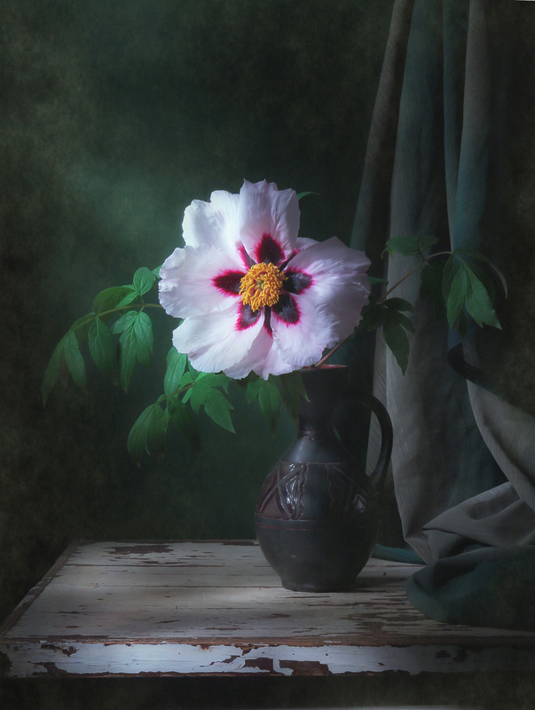 Фотографія Натюрморт / Katerina Mashkevych / photographers.ua