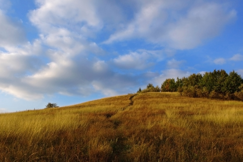 Фотографія Artemovsk Hills / Даниил Попков / photographers.ua