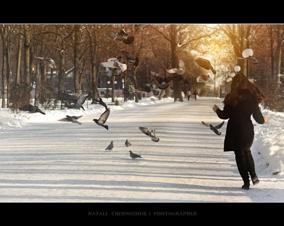 Фотографія *** / Natali Chernozhuk / photographers.ua