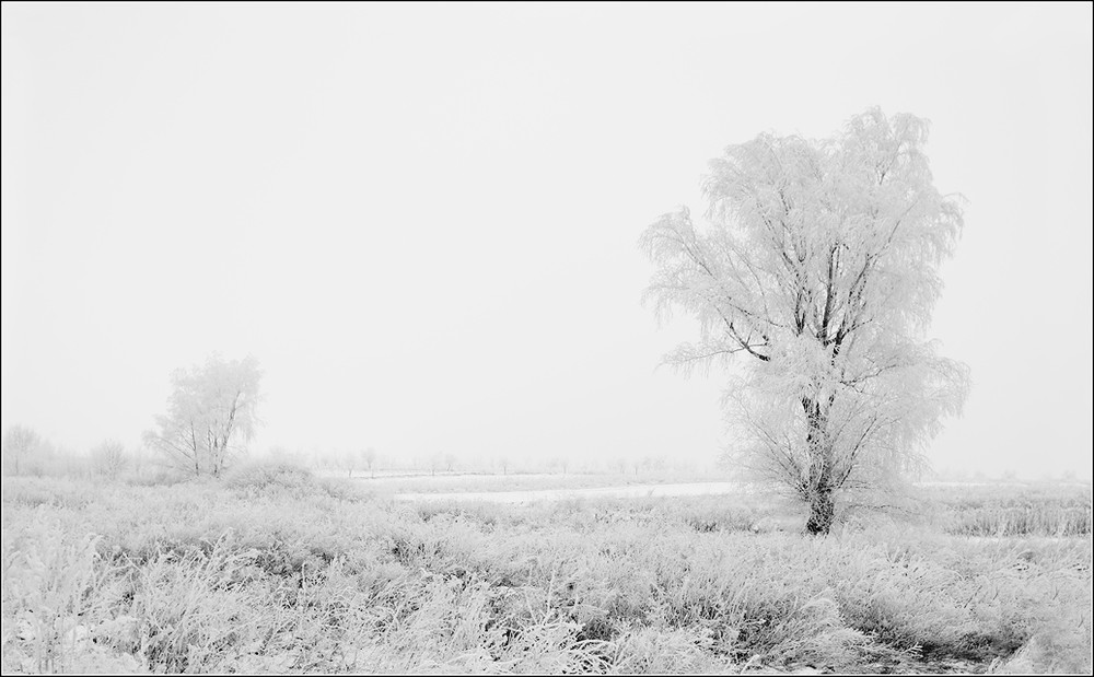 Фотографія Долгожданная зима / Ion Spinu / photographers.ua