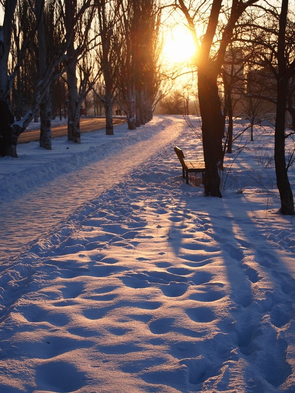 Фотографія сонце і сніг / Оленка / photographers.ua