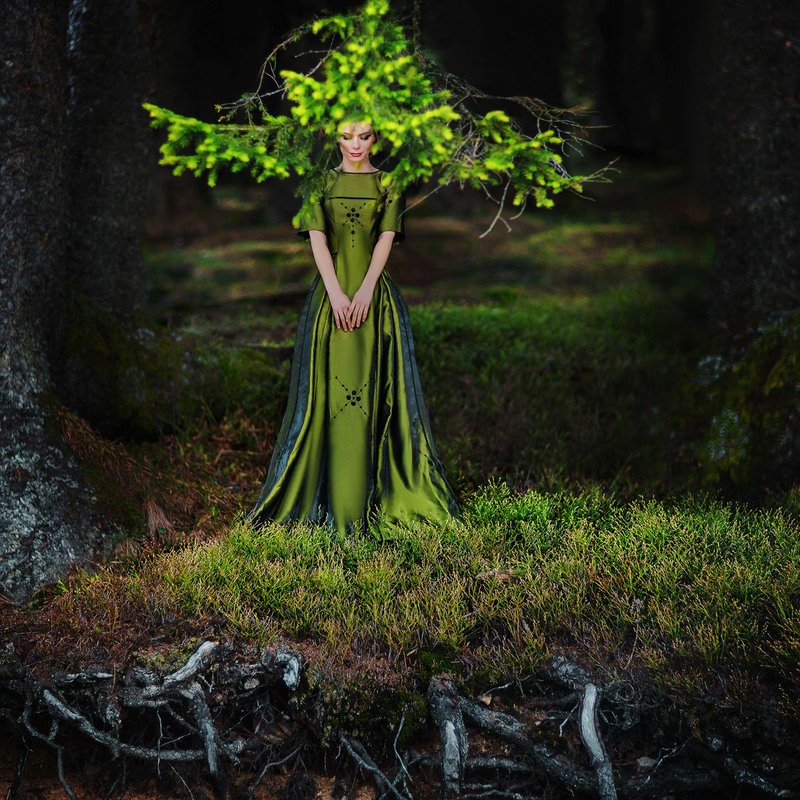 Фотографія Forest fairy / Дмитрий Собокарь / photographers.ua