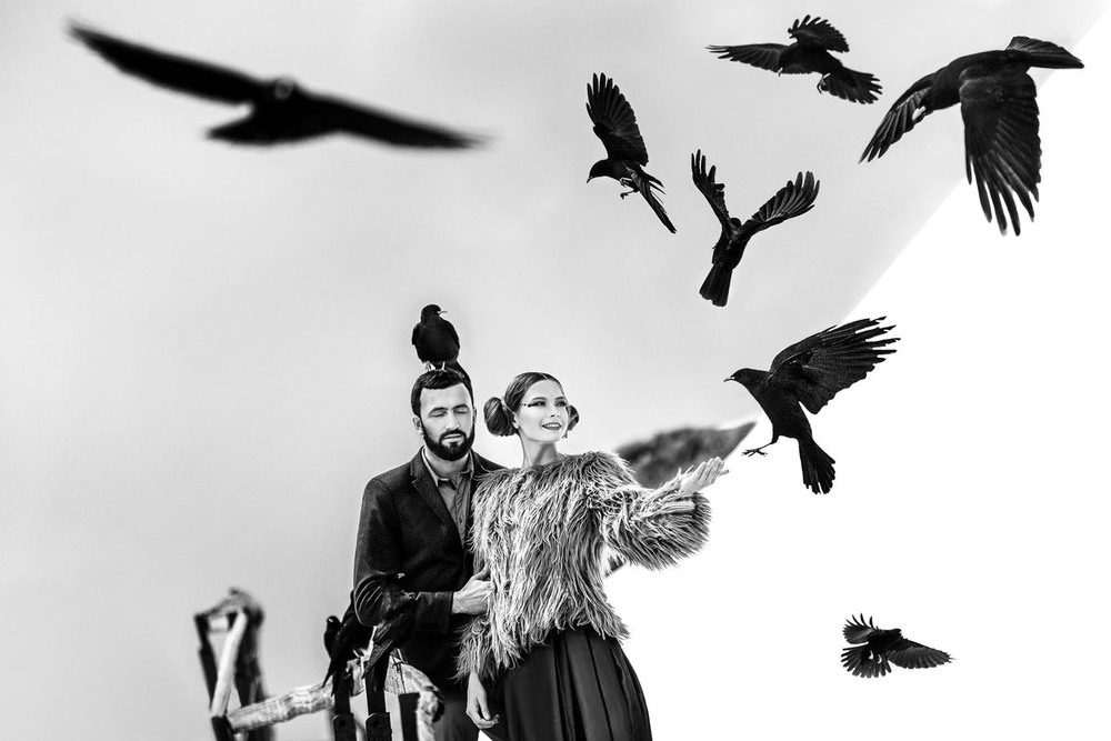 Фотографія Kingdom of crows / Дмитрий Собокарь / photographers.ua