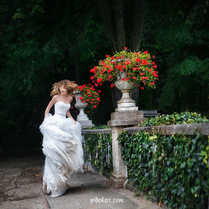 Фотографія Wedding shot / Дмитрий Собокарь / photographers.ua