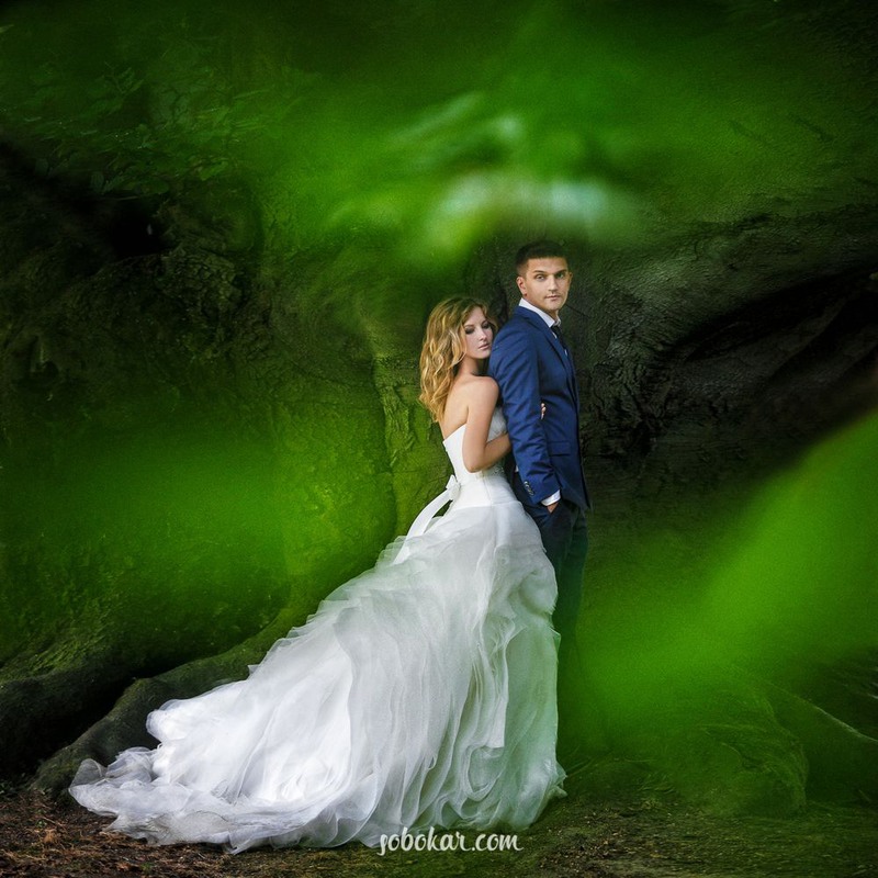 Фотографія Wedding / Дмитрий Собокарь / photographers.ua