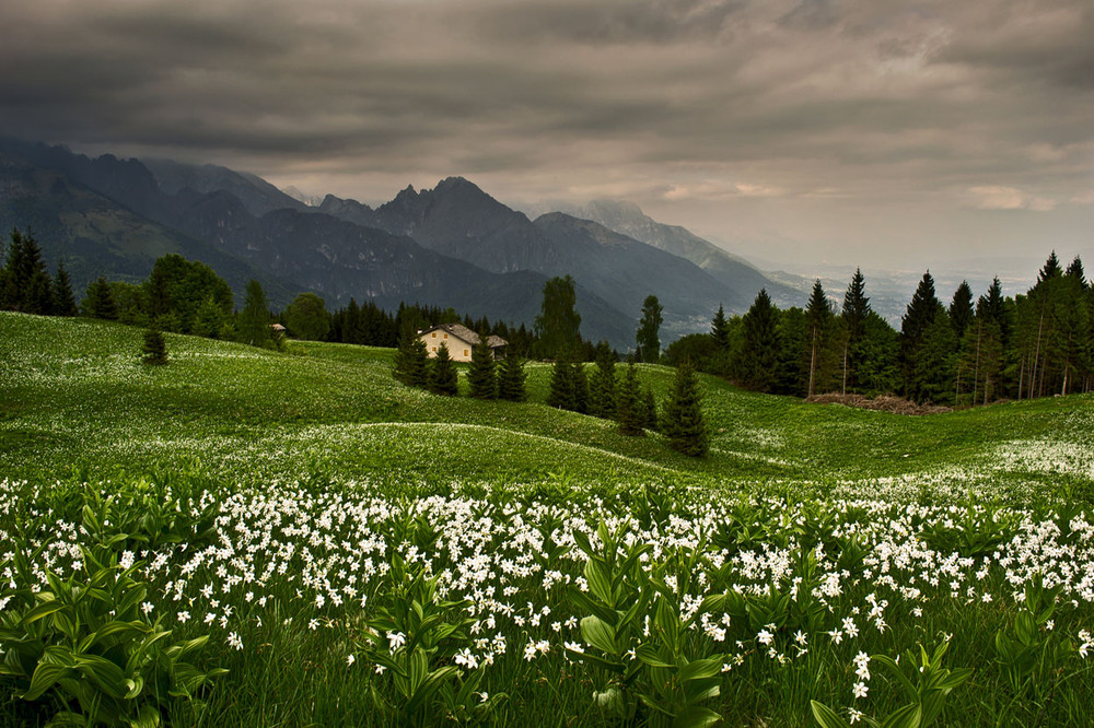 Фотографія Пейзаж / Денис Чорний / photographers.ua