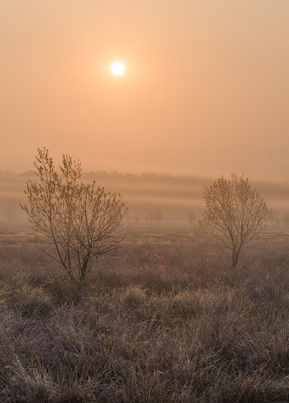 Фотографія *** / Канциренко  Сергей / photographers.ua