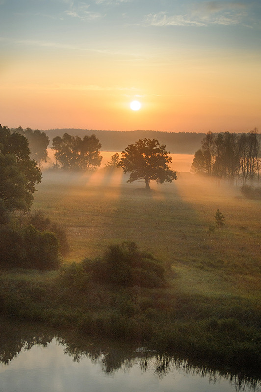 Фотографія *** / Канциренко  Сергей / photographers.ua