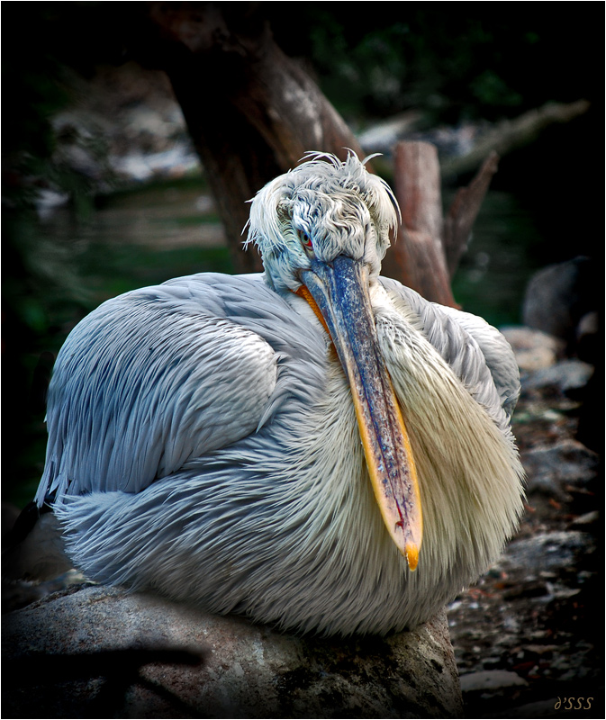 Фотографія хочешь проблем, чувак? / д'SSS / photographers.ua