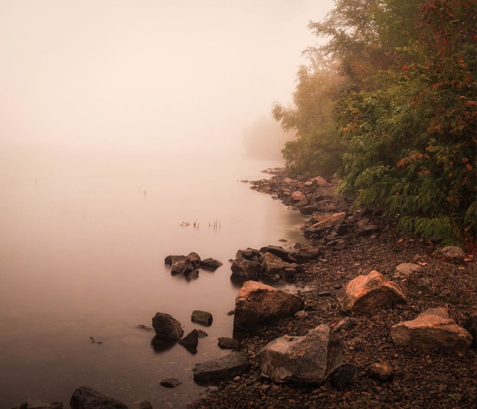 Фотографія fog / Andrii Savchuk / photographers.ua
