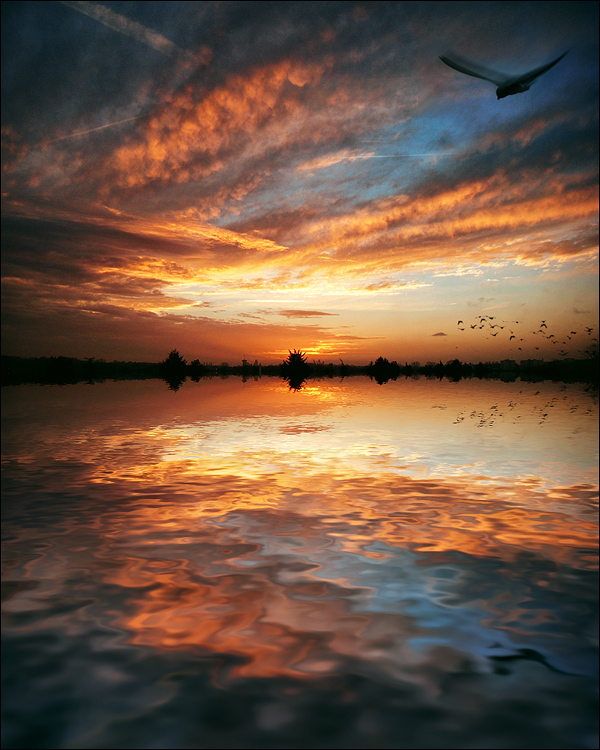 Фотографія My Wonderful Sunset / giorgi lomtadze / photographers.ua