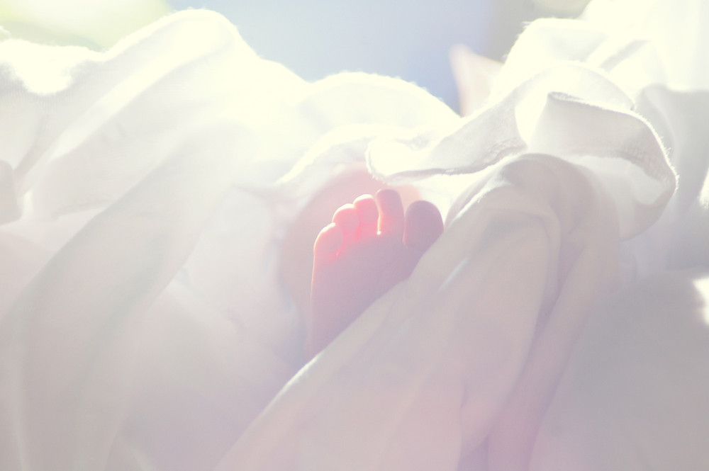 Фотографія *_* / Володимир Тринькало / photographers.ua