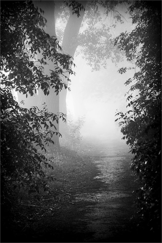 Фотографія Світло наприкінці тонелю / Канкров Ілля / photographers.ua