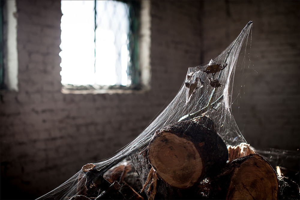 Фотографія У коморці папи Карло / Канкров Ілля / photographers.ua