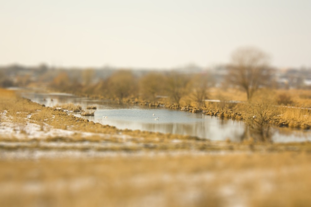 Фотографія Безымянный / Максим Элитон / photographers.ua