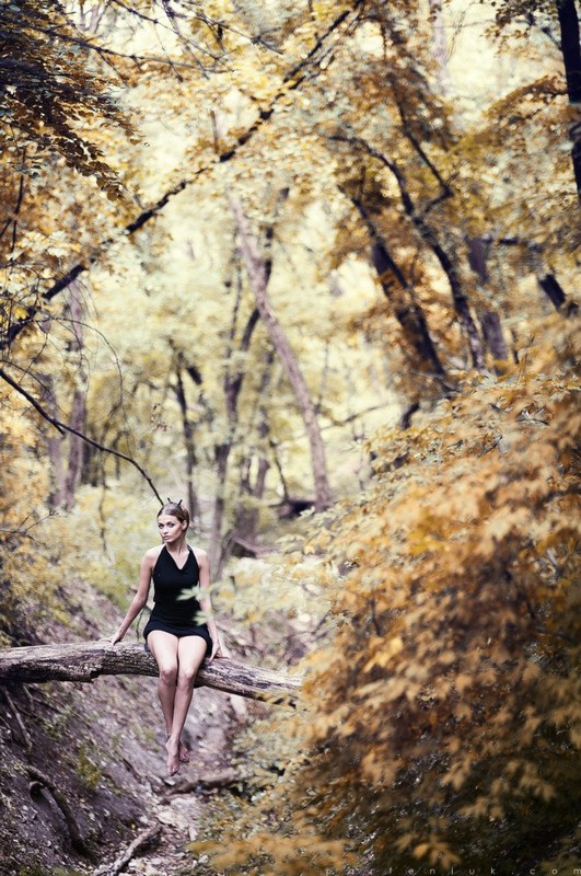 Фотографія forest story / Парфенюк Александр / photographers.ua