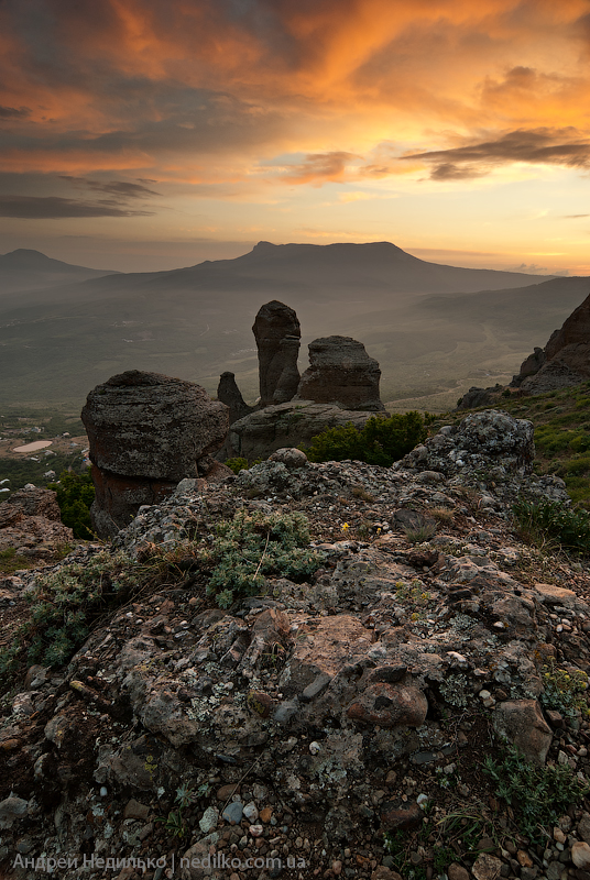 Фотографія Крым, Демерджи / Андрей Недилько / photographers.ua