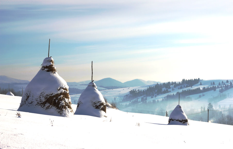 Фотографія Зима в Закарпатье / Игорь П / photographers.ua