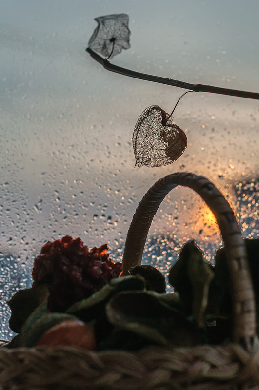 Фотографія Трохи сонця на зиму / Галина Вокальчук / photographers.ua
