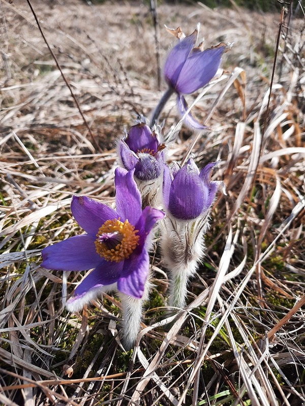 Фотографія Сон / Тарас Бандрівський / photographers.ua