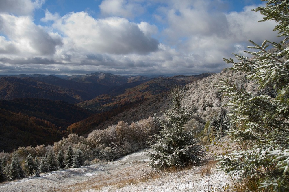 Фотографія Перший сніг ІІ / Тарас Бандрівський / photographers.ua