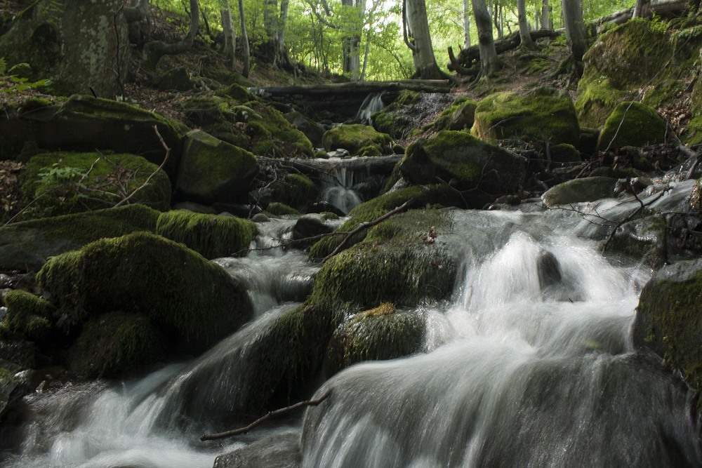 Фотографія Боржава / Тарас Бандрівський / photographers.ua