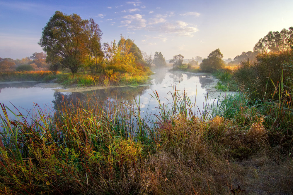 Фотографія Утро на берегу реки / Виктор Тулбанов / photographers.ua
