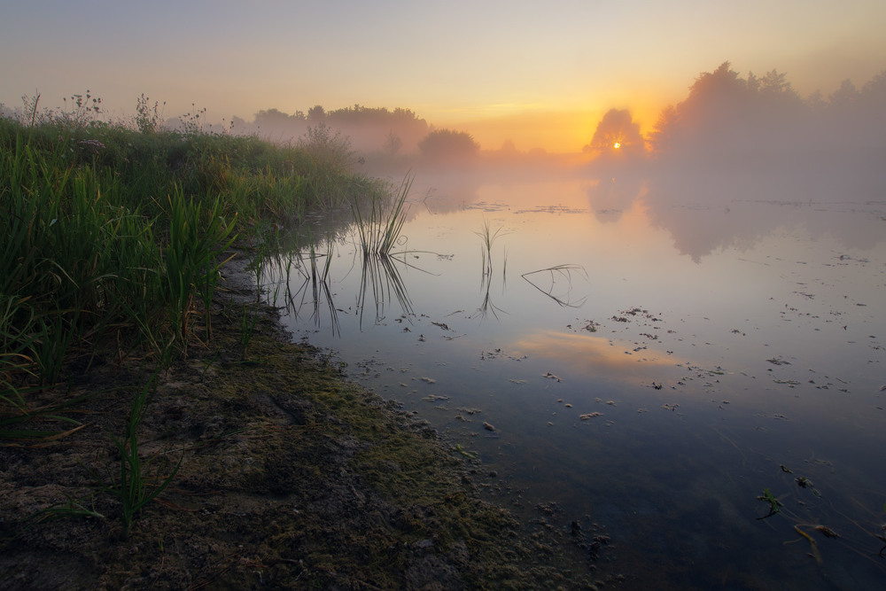 Фотографія Берег реки на рассвете / Виктор Тулбанов / photographers.ua
