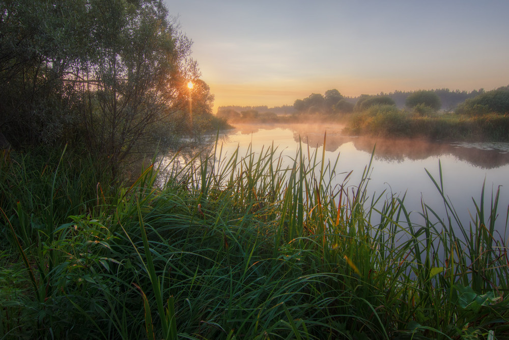 Фотографія Літня пора на річці Вовча / Виктор Тулбанов / photographers.ua
