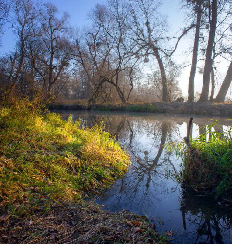 Фотографія Солнечное утро на реке / Виктор Тулбанов / photographers.ua