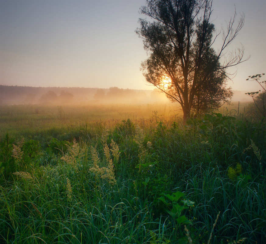 Фотографія На світанку / Виктор Тулбанов / photographers.ua