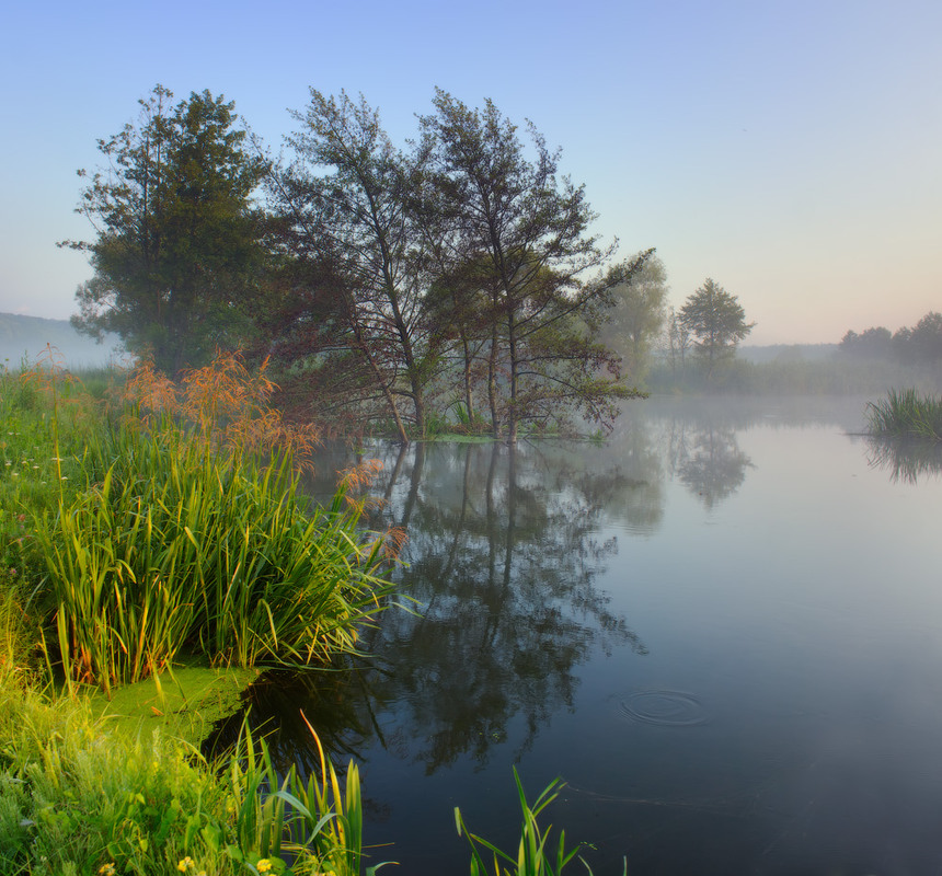 Фотографія Ранок на річці / Виктор Тулбанов / photographers.ua