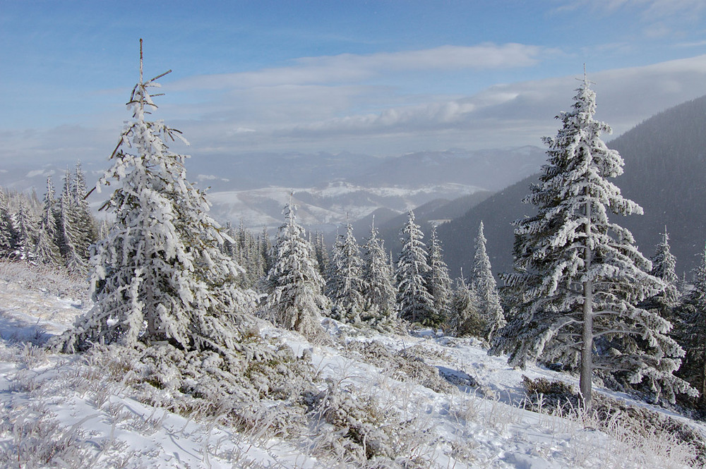 Фотографія .1++++1. / Марко / photographers.ua