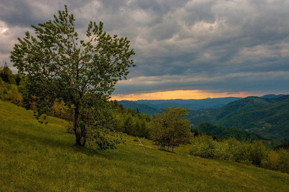 Фотографія запеклось / Марко / photographers.ua