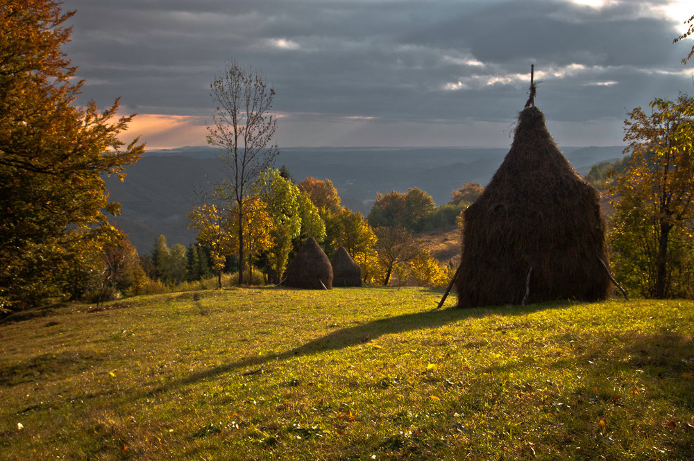 Фотографія ...утіха в обід... / Марко / photographers.ua