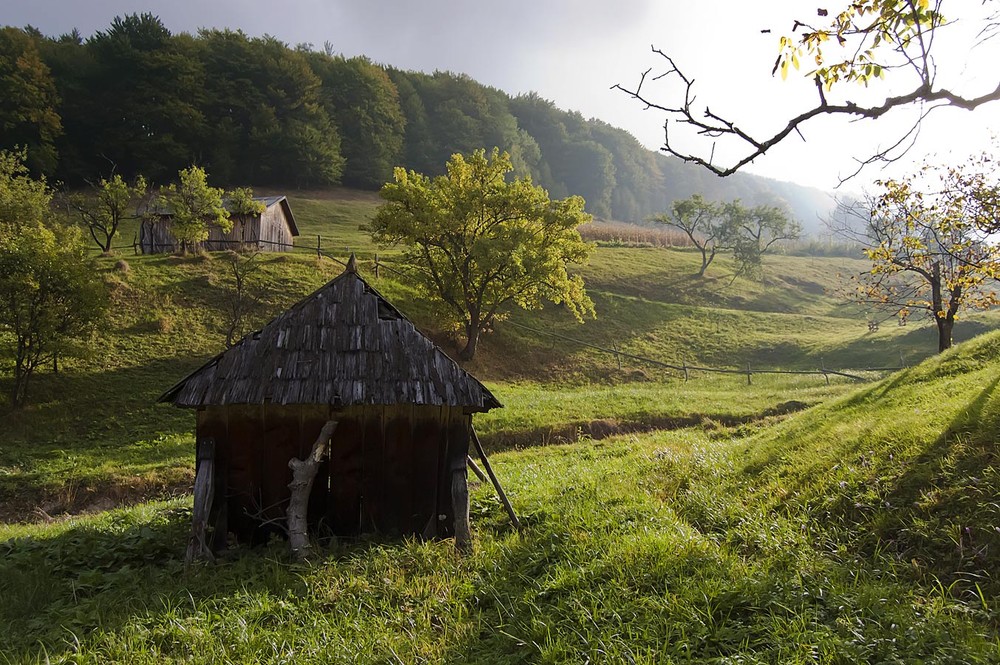 Фотографія ...стайні.. / Марко / photographers.ua