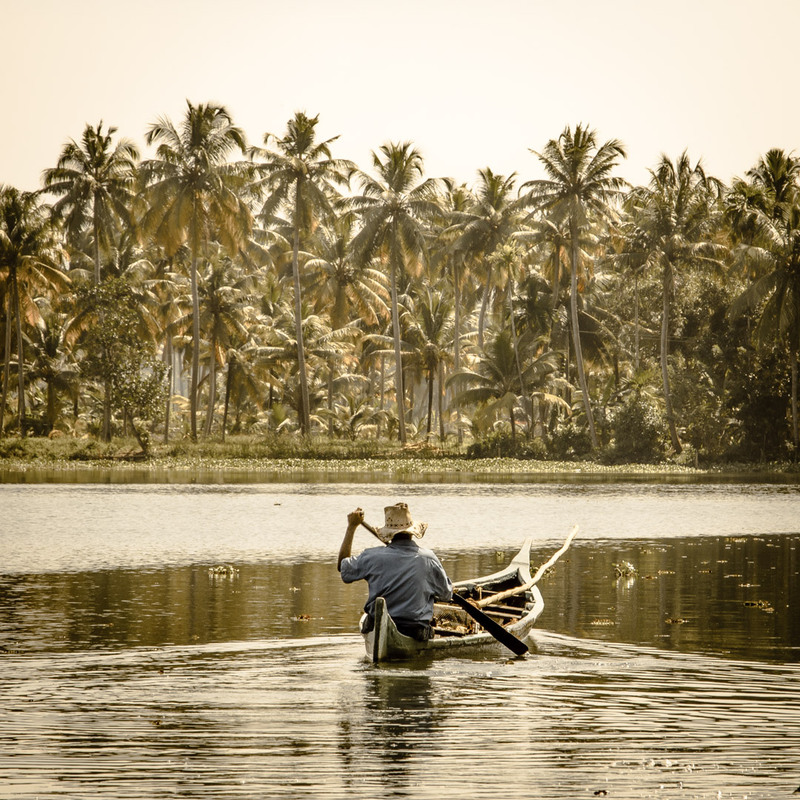 Фотографія Back Waters. Kerala / pekkalakko / photographers.ua